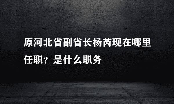 原河北省副省长杨芮现在哪里任职？是什么职务