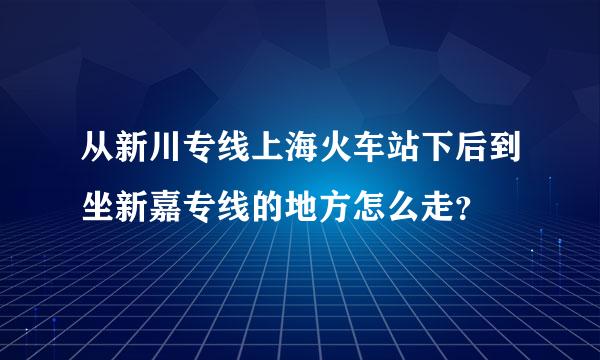 从新川专线上海火车站下后到坐新嘉专线的地方怎么走？