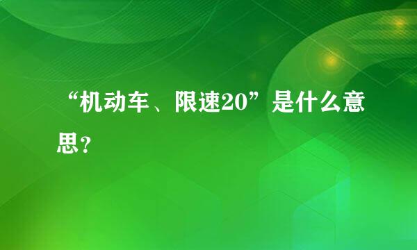 “机动车、限速20”是什么意思？