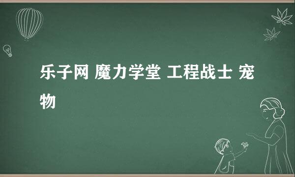 乐子网 魔力学堂 工程战士 宠物