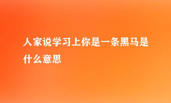 人家说学习上你是一条黑马是什么意思