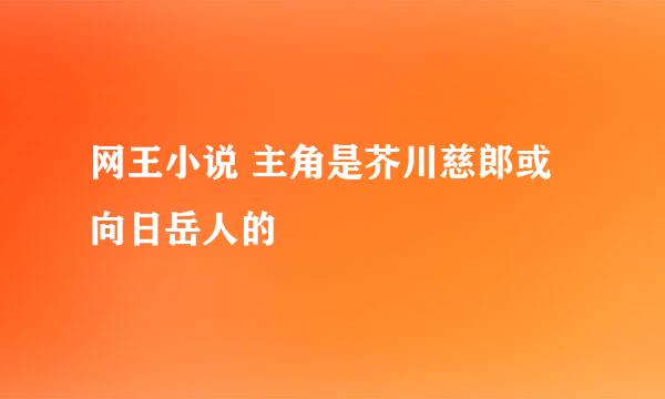 网王小说 主角是芥川慈郎或向日岳人的