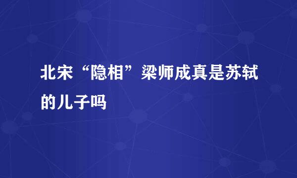 北宋“隐相”梁师成真是苏轼的儿子吗