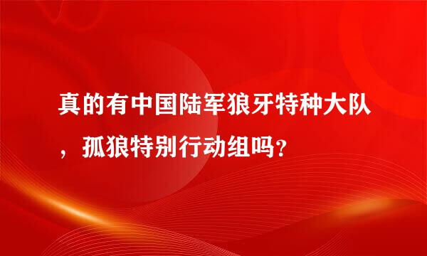 真的有中国陆军狼牙特种大队，孤狼特别行动组吗？