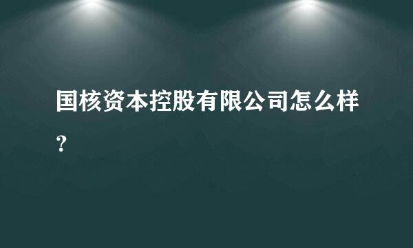 国核资本控股有限公司怎么样？