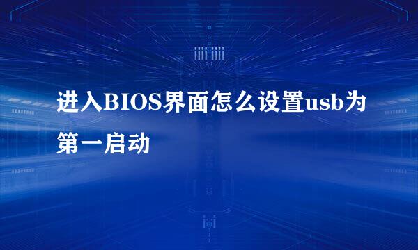 进入BIOS界面怎么设置usb为第一启动