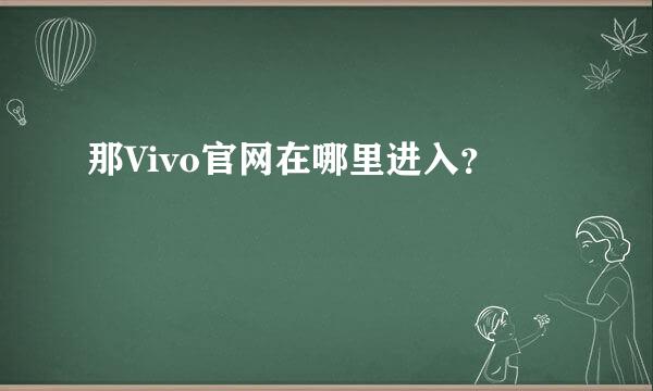 那Vivo官网在哪里进入？