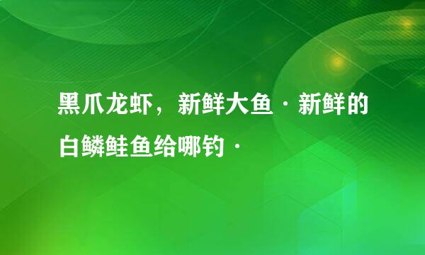 黑爪龙虾，新鲜大鱼·新鲜的白鳞鲑鱼给哪钓·