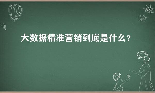 大数据精准营销到底是什么？