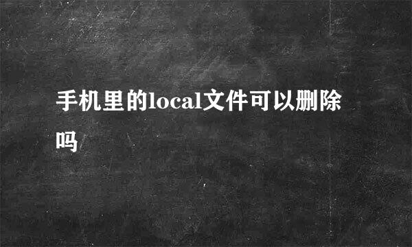 手机里的local文件可以删除吗