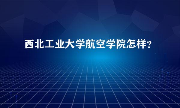 西北工业大学航空学院怎样？