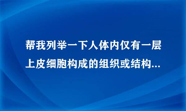 帮我列举一下人体内仅有一层上皮细胞构成的组织或结构 如小肠绒毛壁那样的