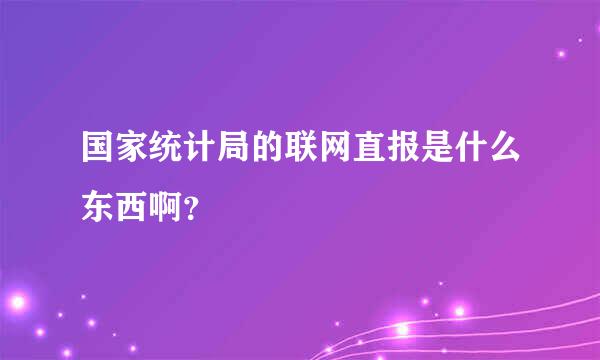 国家统计局的联网直报是什么东西啊？