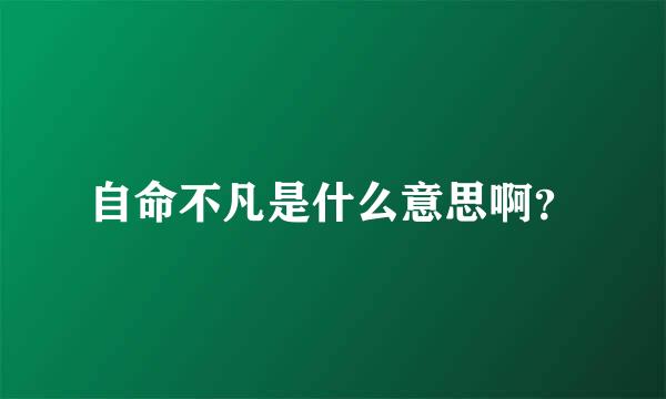 自命不凡是什么意思啊？