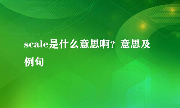 scale是什么意思啊？意思及例句