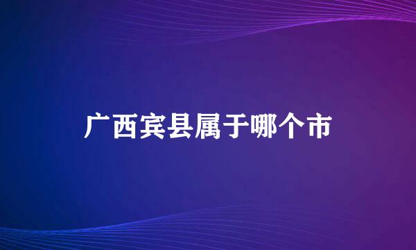 广西宾县属于哪个市