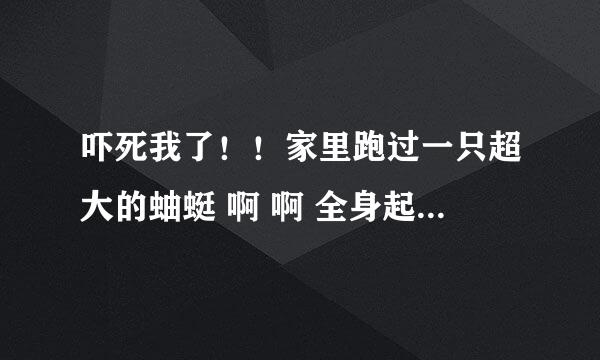 吓死我了！！家里跑过一只超大的蚰蜓 啊 啊 全身起鸡皮嘎达