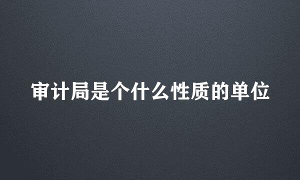 审计局是个什么性质的单位