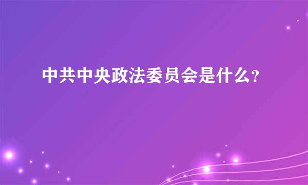 中共中央政法委员会是什么？