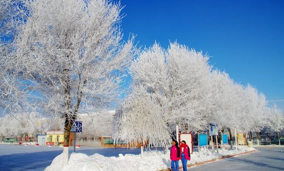 艾青诗选雪落在中国的土地上好句赏析？