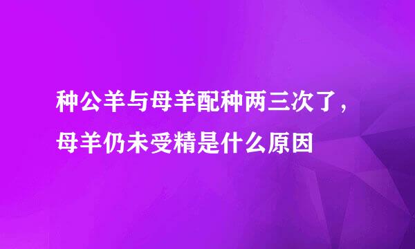 种公羊与母羊配种两三次了，母羊仍未受精是什么原因