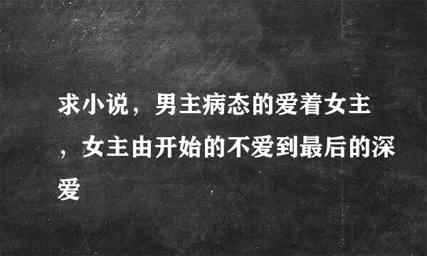 求小说，男主病态的爱着女主，女主由开始的不爱到最后的深爱