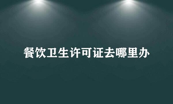 餐饮卫生许可证去哪里办