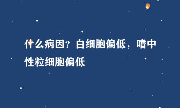 什么病因？白细胞偏低，嗜中性粒细胞偏低