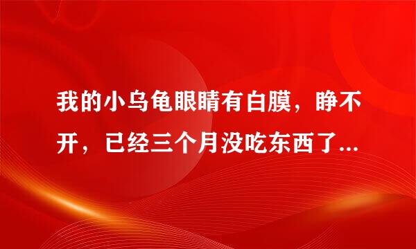 我的小乌龟眼睛有白膜，睁不开，已经三个月没吃东西了，怎么治好它的眼睛，它会不会饿死啊？