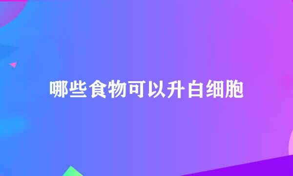 哪些食物可以升白细胞