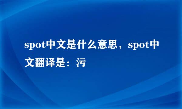 spot中文是什么意思，spot中文翻译是：污