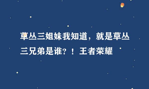 草丛三姐妹我知道，就是草丛三兄弟是谁？！王者荣耀