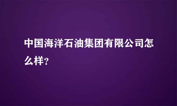 中国海洋石油集团有限公司怎么样？