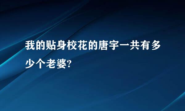 我的贴身校花的唐宇一共有多少个老婆?