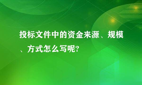 投标文件中的资金来源、规模、方式怎么写呢?