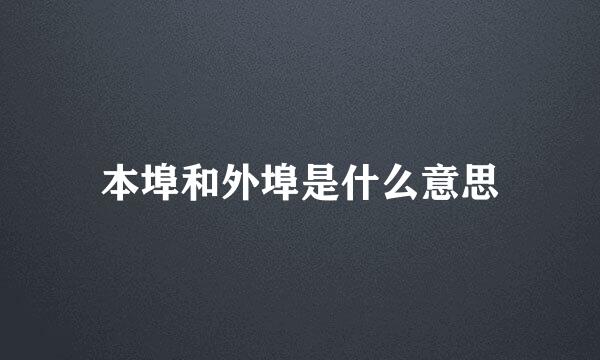 本埠和外埠是什么意思