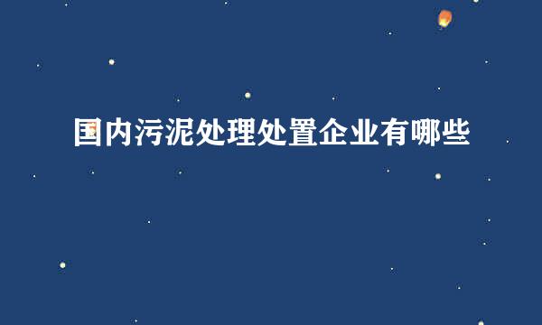 国内污泥处理处置企业有哪些