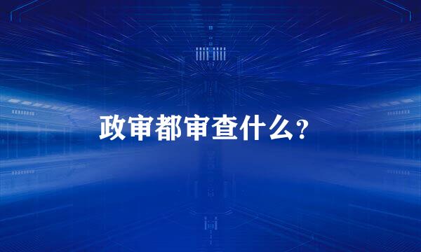 政审都审查什么？