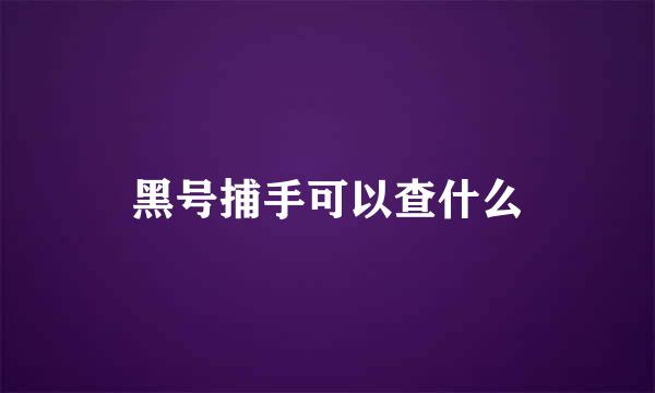 黑号捕手可以查什么