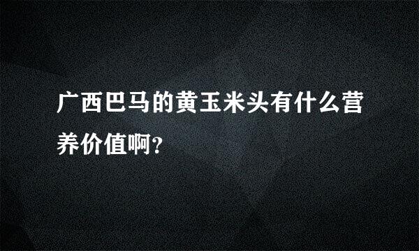 广西巴马的黄玉米头有什么营养价值啊？