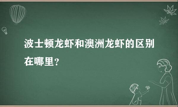 波士顿龙虾和澳洲龙虾的区别在哪里？