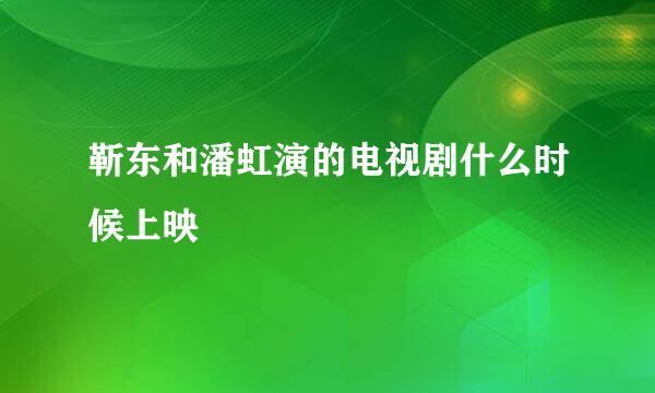 靳东和潘虹演的电视剧什么时候上映