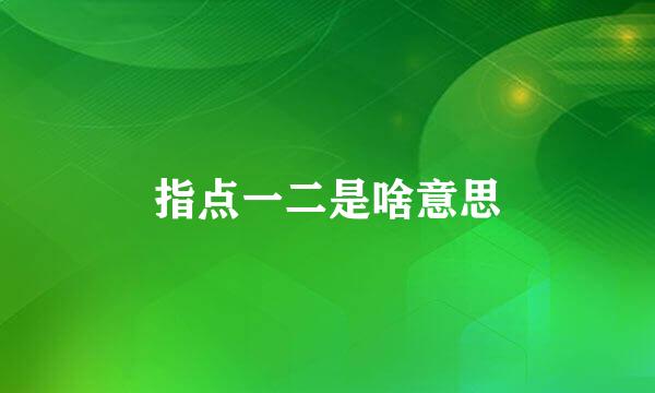 指点一二是啥意思