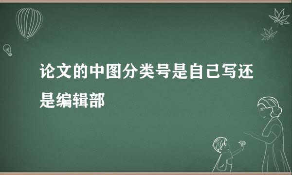 论文的中图分类号是自己写还是编辑部