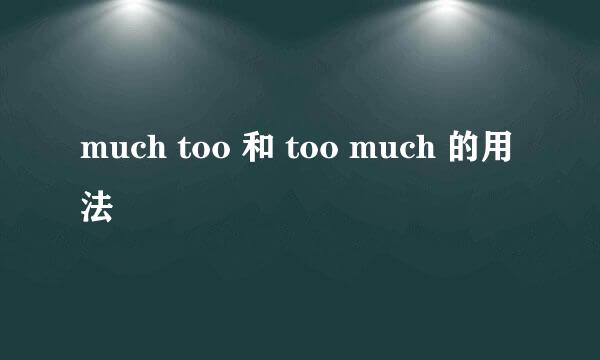 much too 和 too much 的用法