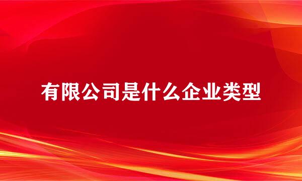 有限公司是什么企业类型