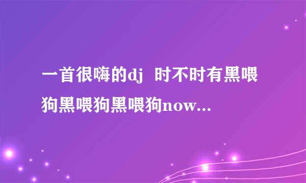 一首很嗨的dj  时不时有黑喂狗黑喂狗黑喂狗now  是哪一首啊？