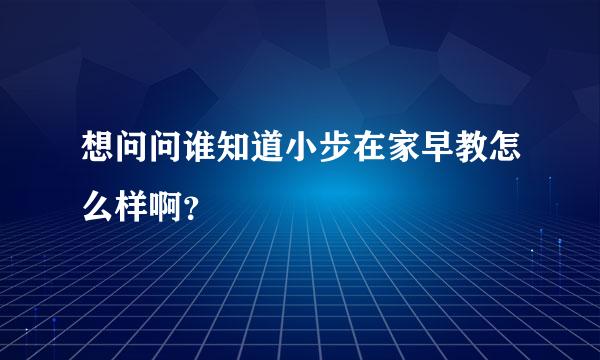 想问问谁知道小步在家早教怎么样啊？