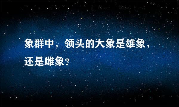 象群中，领头的大象是雄象，还是雌象？