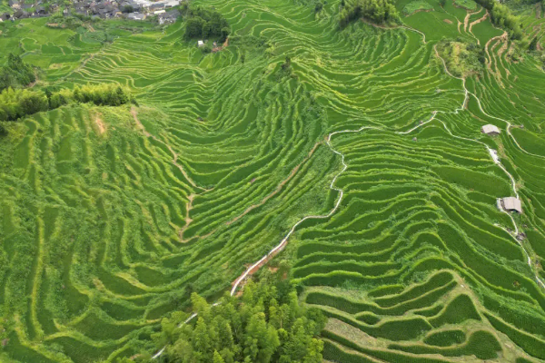 浙江丽水旅游必去十大景点